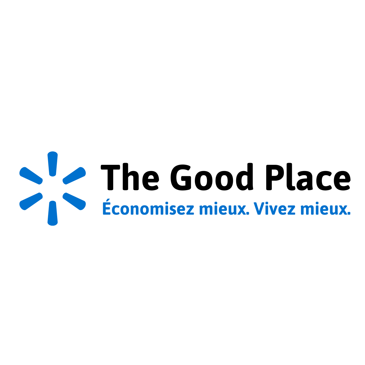 Verrou pour portes et poignées - 2 Pièces - The Good Place Maroc