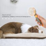 Brosse pour animaux de compagnie, Parfait pour tout type et longueur de poils