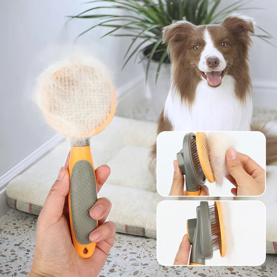 Brosse pour animaux de compagnie, Parfait pour tout type et longueur de poils